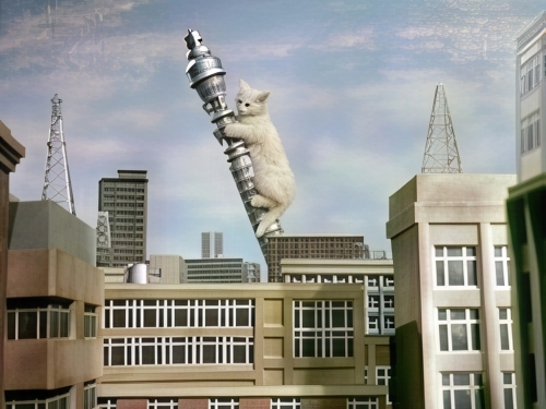 Virgin Media O2's leaky network exposed millions