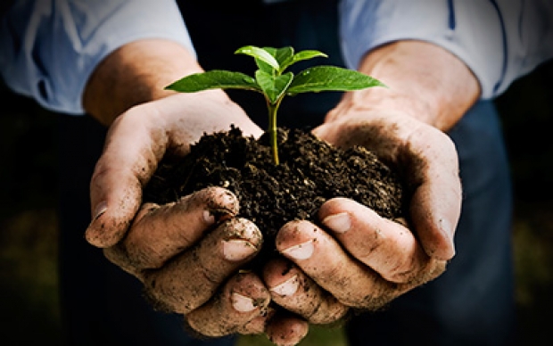 VR Smartphones and tablets to grow