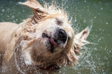 Intel to shake high-end SSD Market