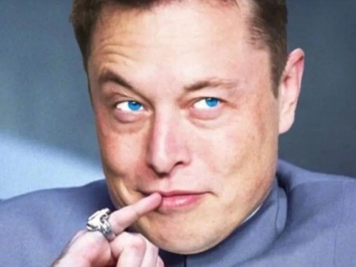Musk blocked from putting chips in people’s brains