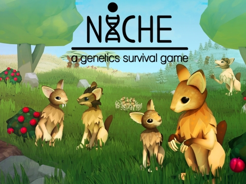 Physical console games are niche