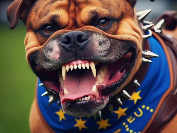 EU’s Digital Markets Act flawed claims new report