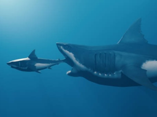 Meta splashes more than $2 billion on Manus