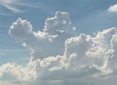 Cloud LAN vendors cash in