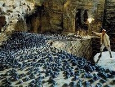 Drupal hit by another wave of bugs