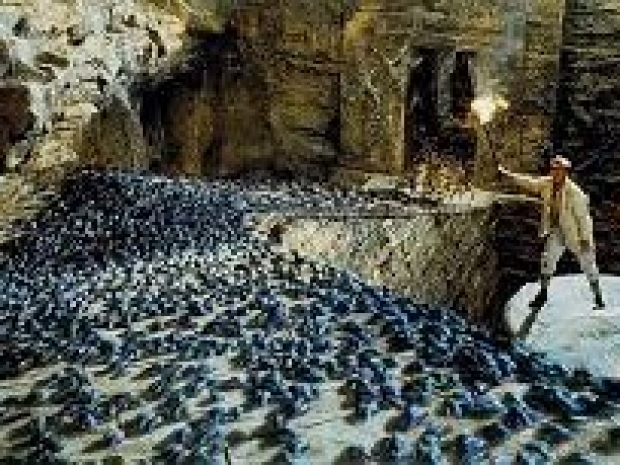 Drupal hit by another wave of bugs