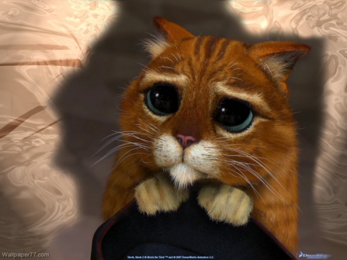 Western Digital says soz for raining on Toshiba's parade