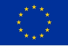 Euro chip sales soar