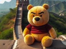 China tightens the screws on chip imports