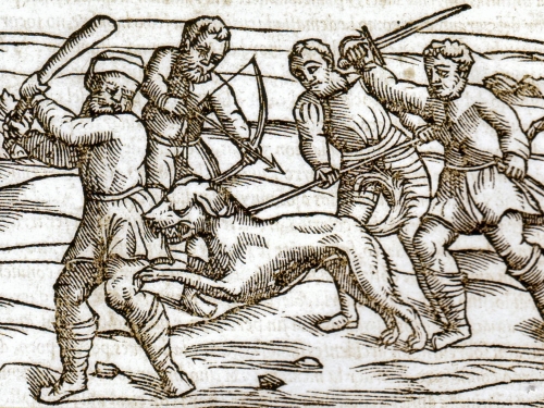 Developers spurn Apple’s Vision Pro as if it were a rabid dog