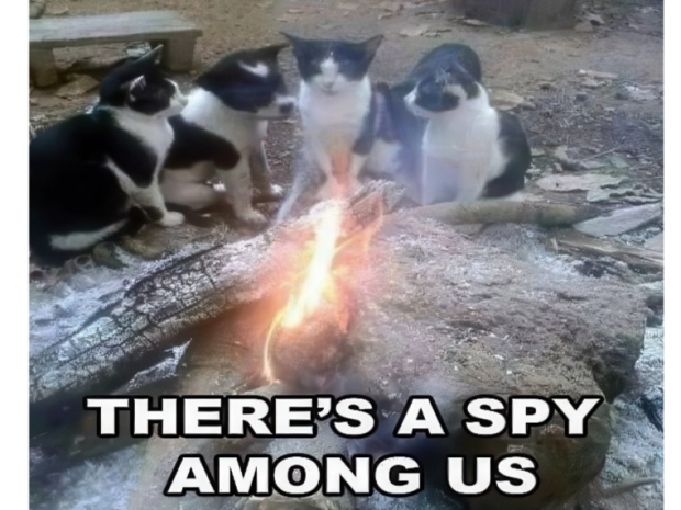 Trump’s war group chat accidentally included a journalist